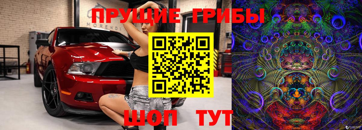 Псилоцибиновые грибы Cubensis Новоалтайск