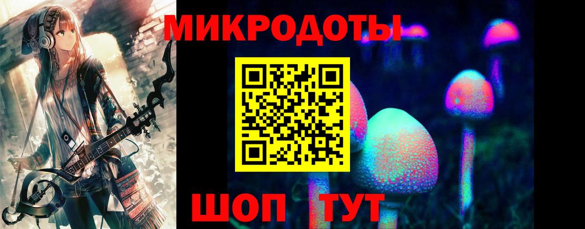 Галлюциногенные грибы GOLDEN TEACHER  купить наркоту  Вход с VPN  Новоалтайск  Псилоцибиновые грибы Psilocybe 